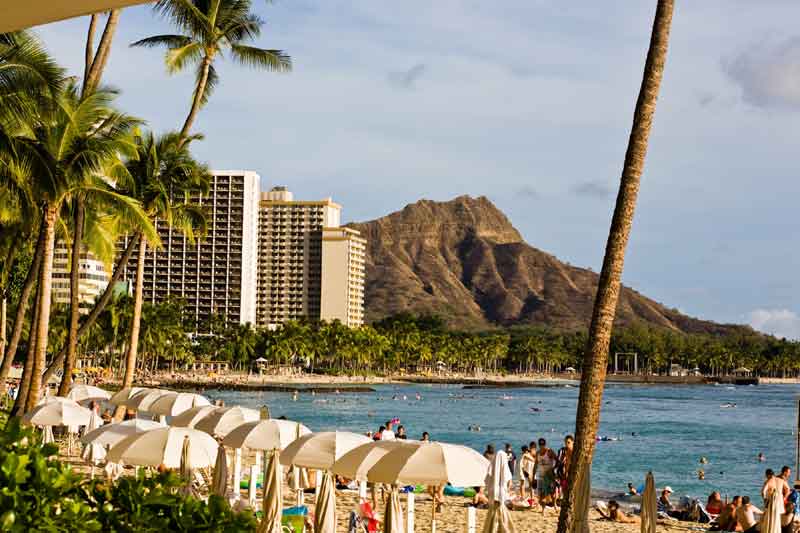 Parking Free Continental Breakfast Budget Condo Full Size Condominium Weekly Rental Extended Stay Condos Waikiki