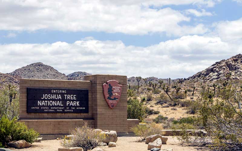 Joshua Tree Business Travelers FEMA Meetings Accomodations Get Together Reunions Corporations Group Discounts Twentynine Palms CA Clean Comfortable Accomodations Budget Recently Remodeled Hotels Motels Amenities WiFi High Speed Internet All Rooms Rodew